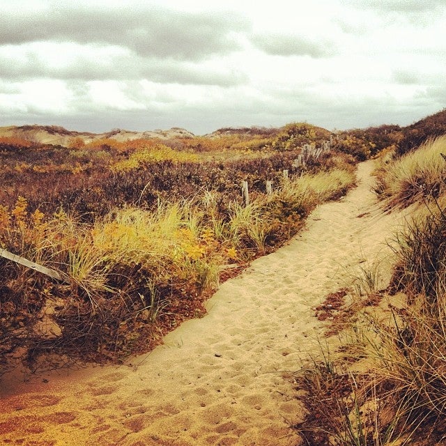 Herring Cove Beach Photos GayCities Provincetown