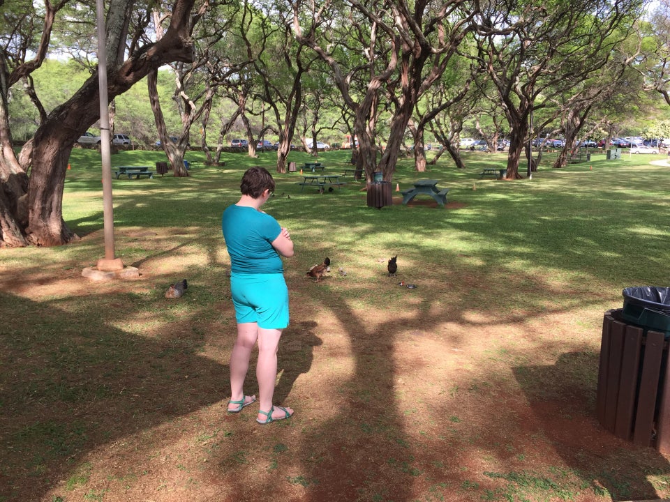 Photo of Hanauma Bay Nature Preserve