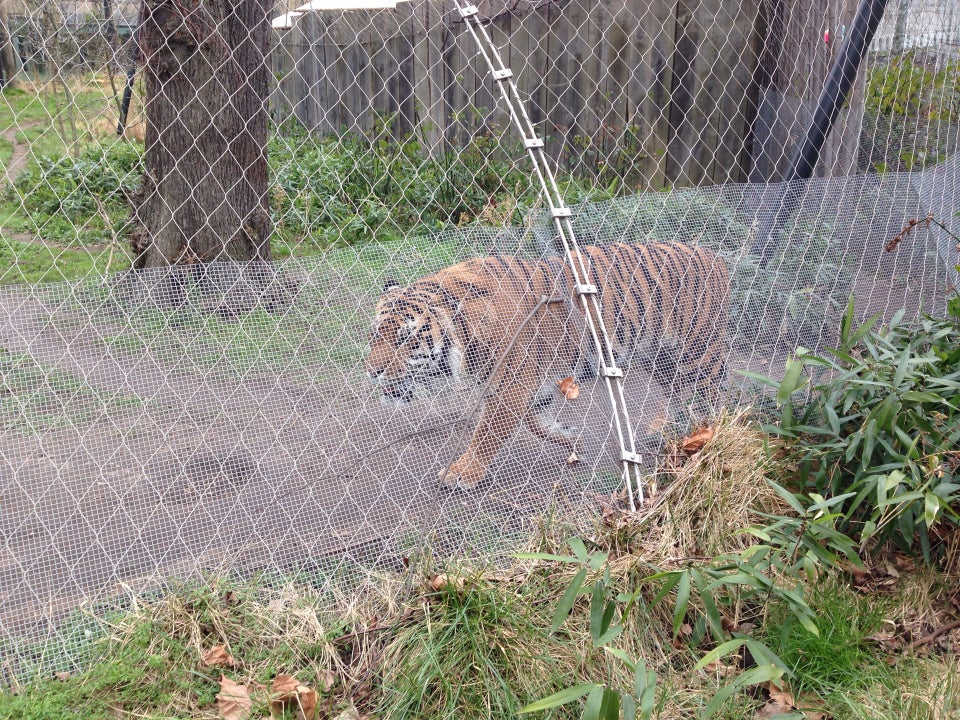 Photo of ZSL London Zoo