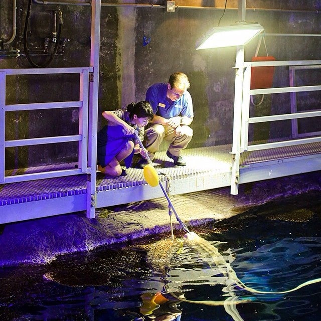 Photo of Shark Reef