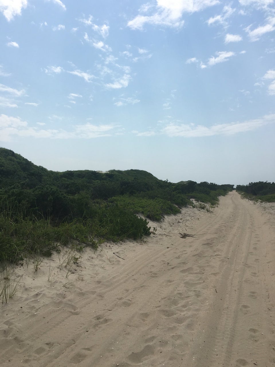 Photo of Cherry Grove Beach