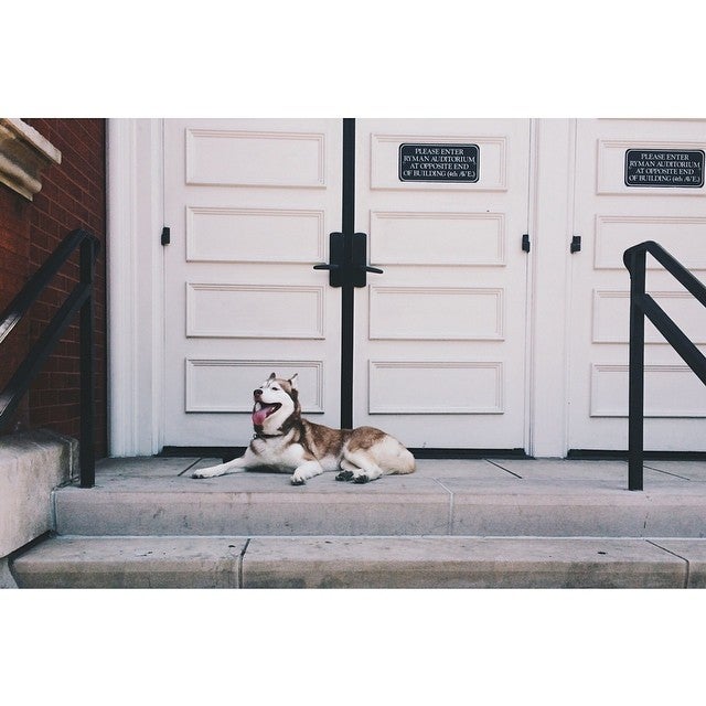 Photo of Ryman Auditorium