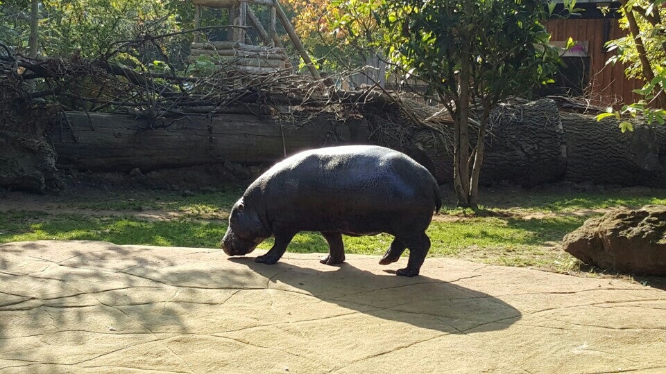 Photo of ZSL London Zoo