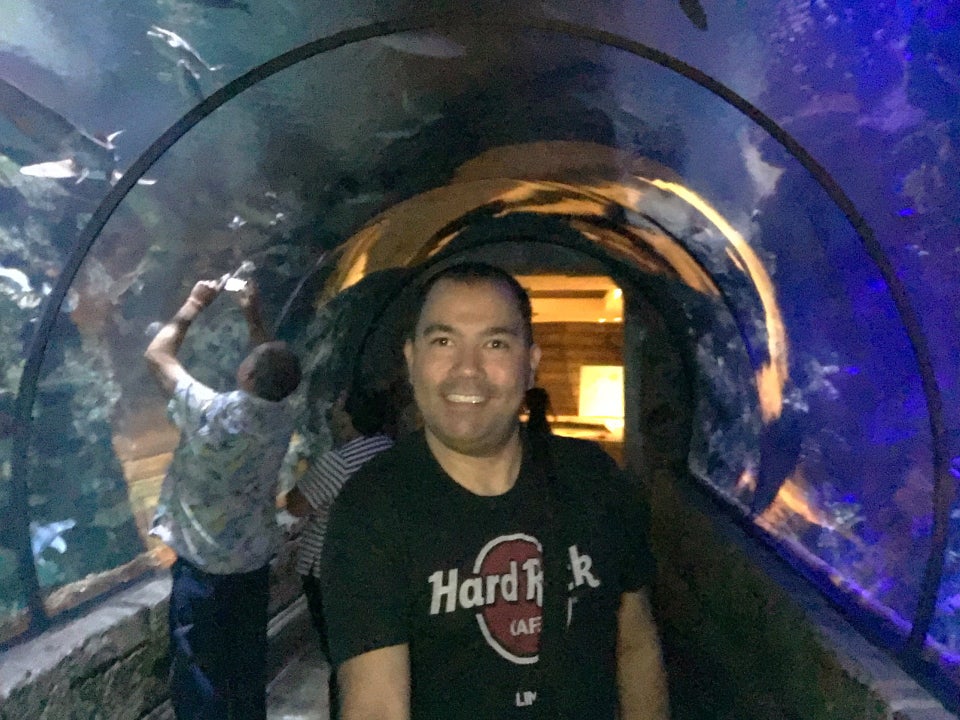 Photo of Shark Reef