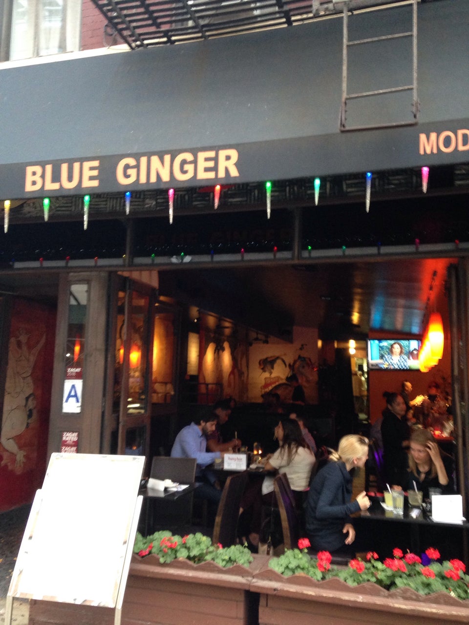 Photo of Blue Ginger