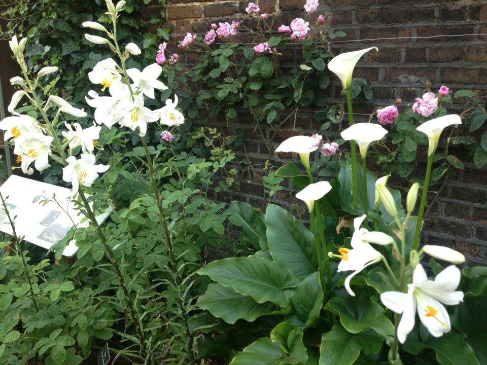 Photo of Museum of the Home (formerly Geffrye Museum)