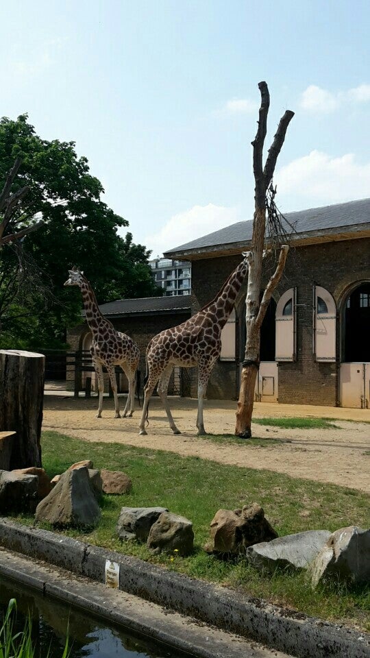 Photo of ZSL London Zoo