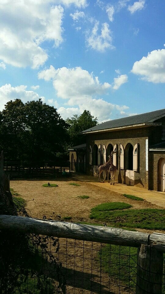 Photo of ZSL London Zoo