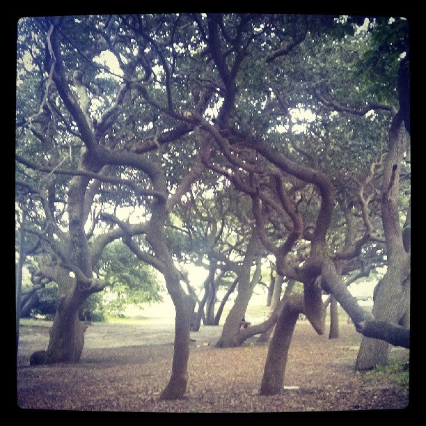 Photo of Sarah Constant Beach Park