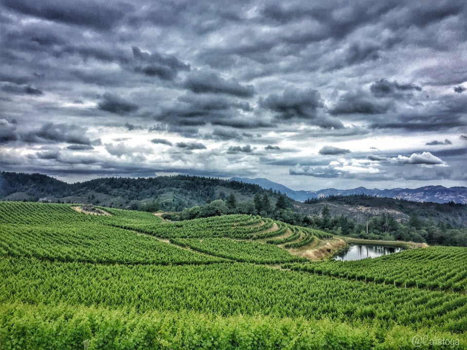 Photo of Pride Mountain Vineyards