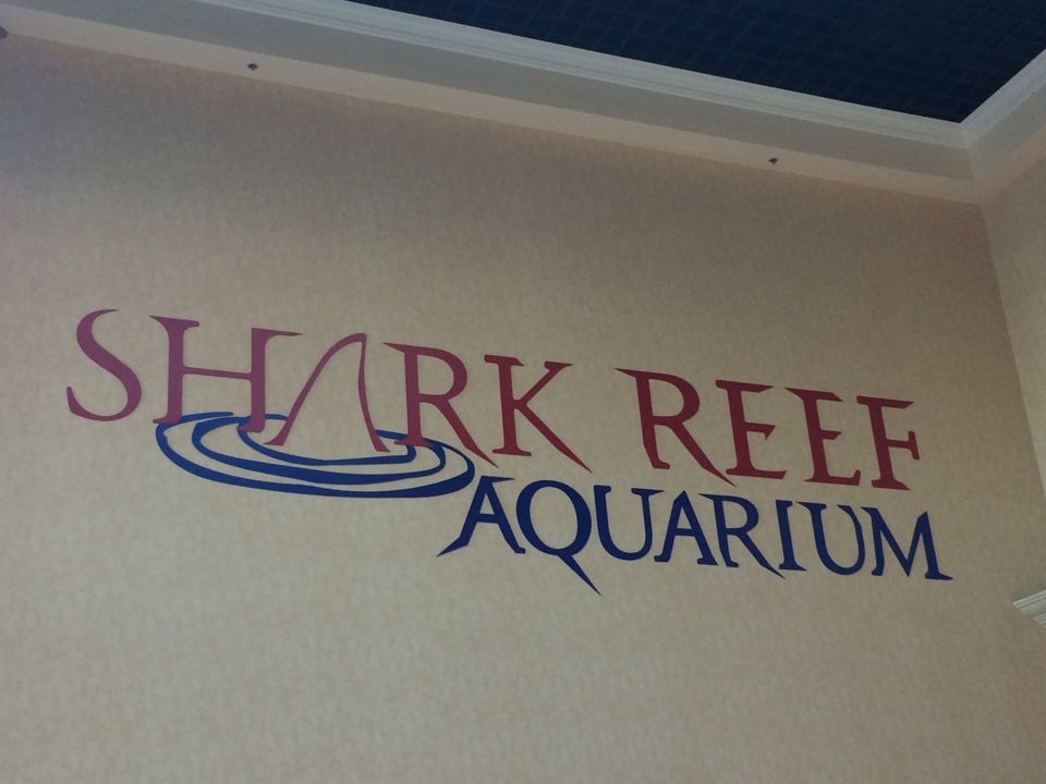 Photo of Shark Reef