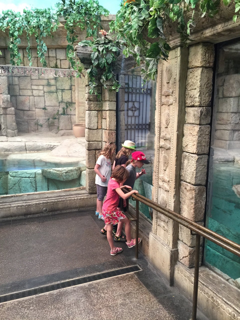 Photo of Shark Reef