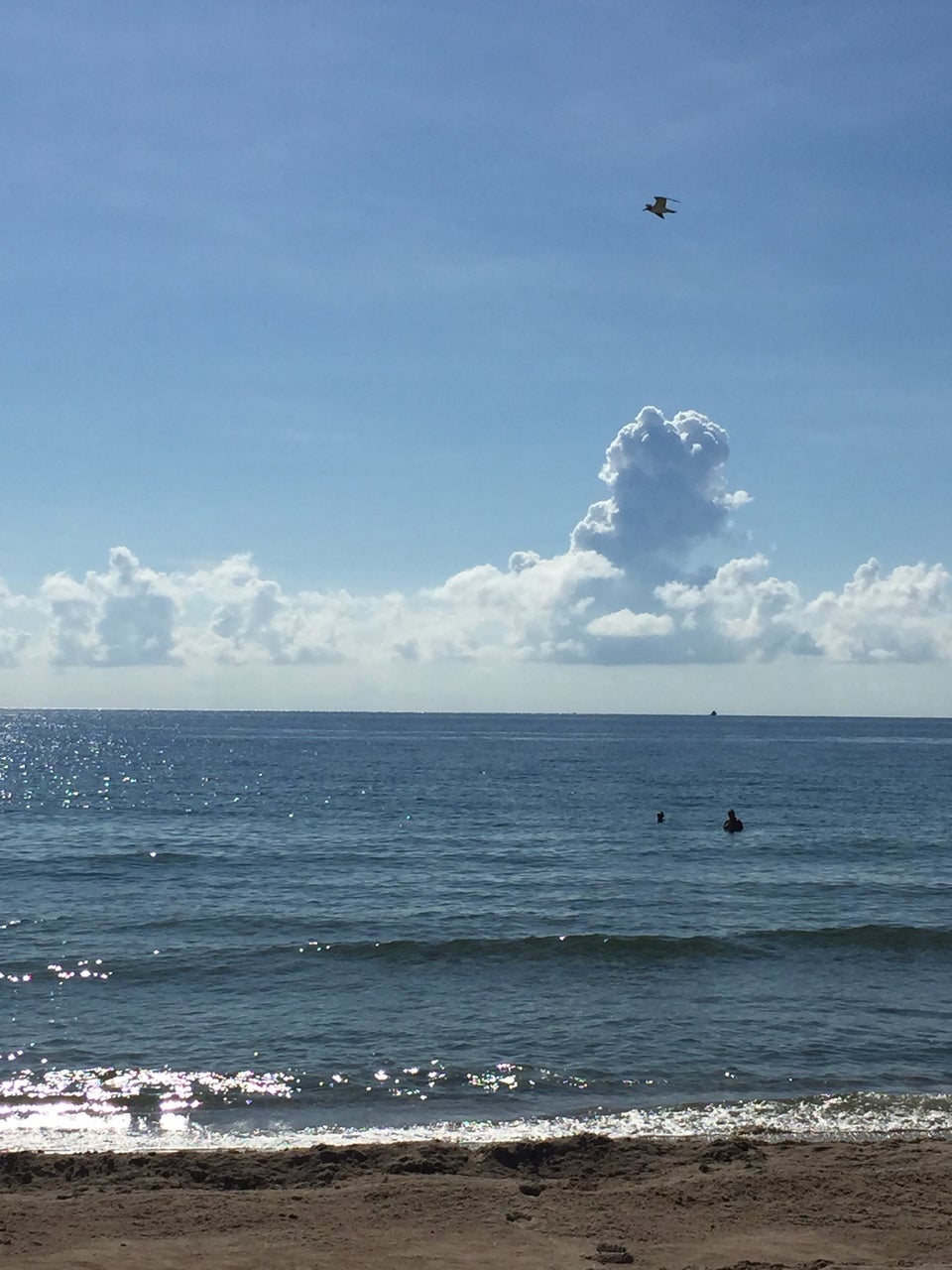 Photo of Sebastian Street Beach