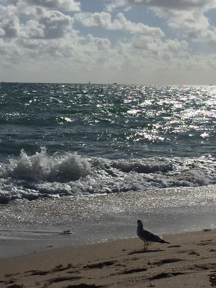 Photo of Sebastian Street Beach