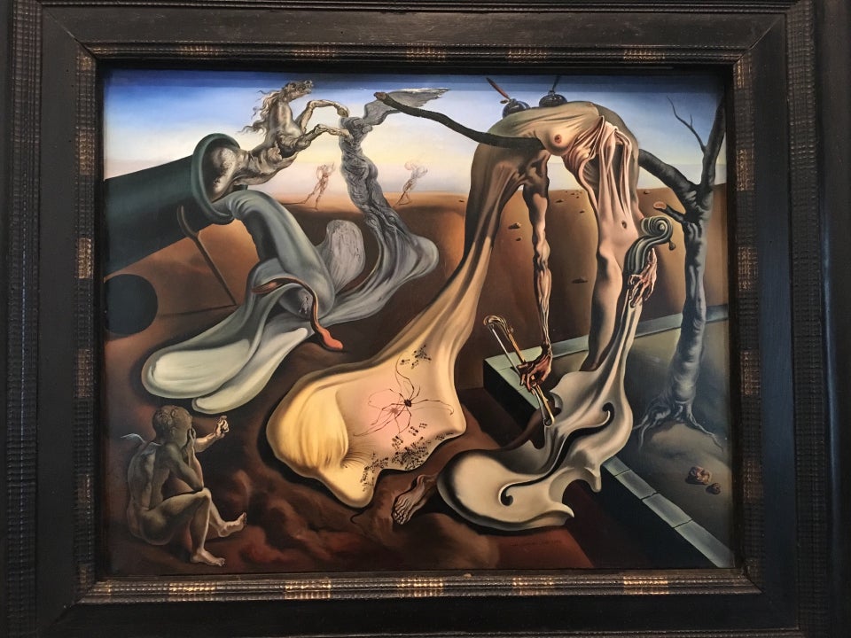 Photo of The Dali Museum