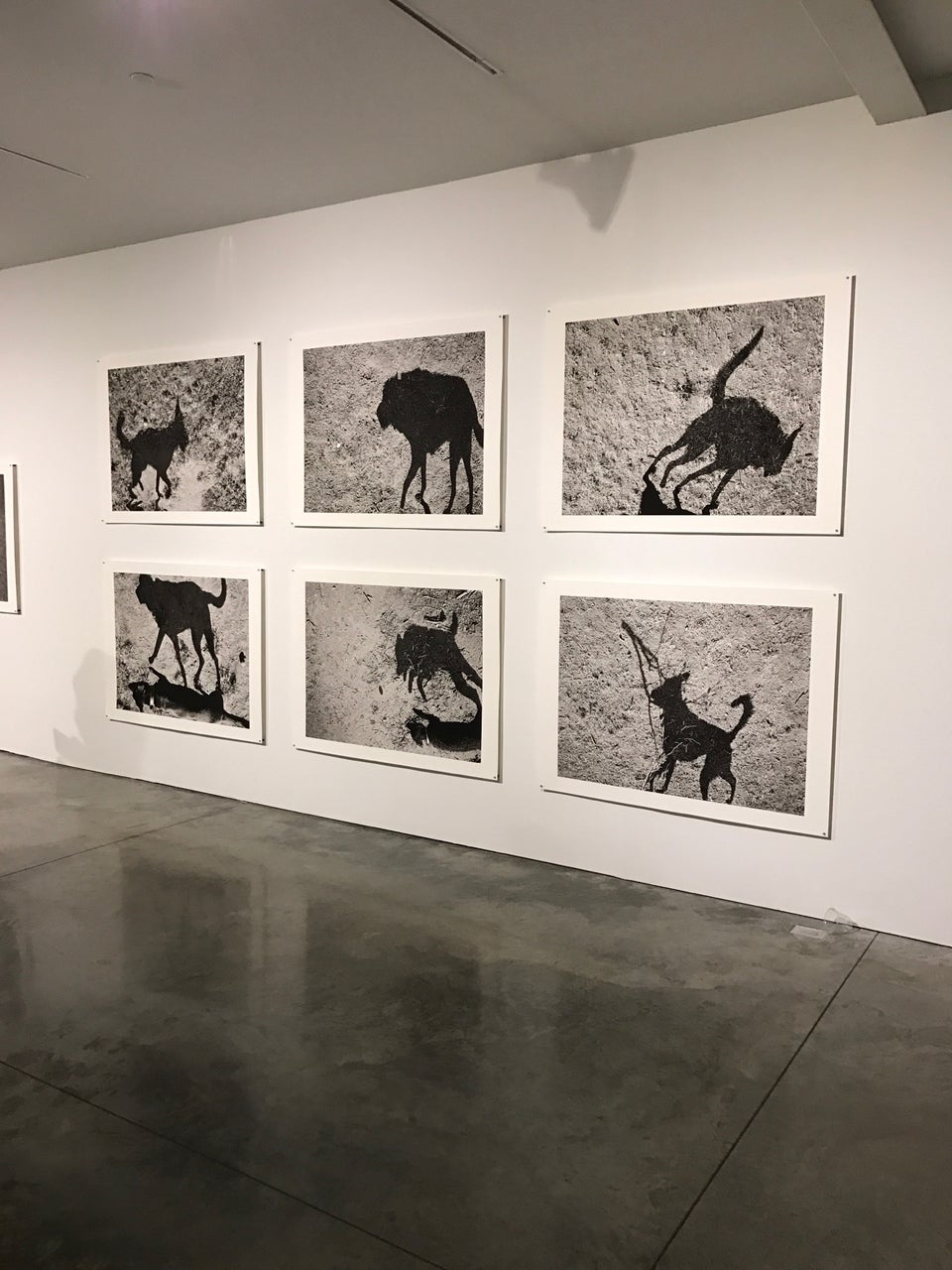 Photo of Steven Kasher Gallery