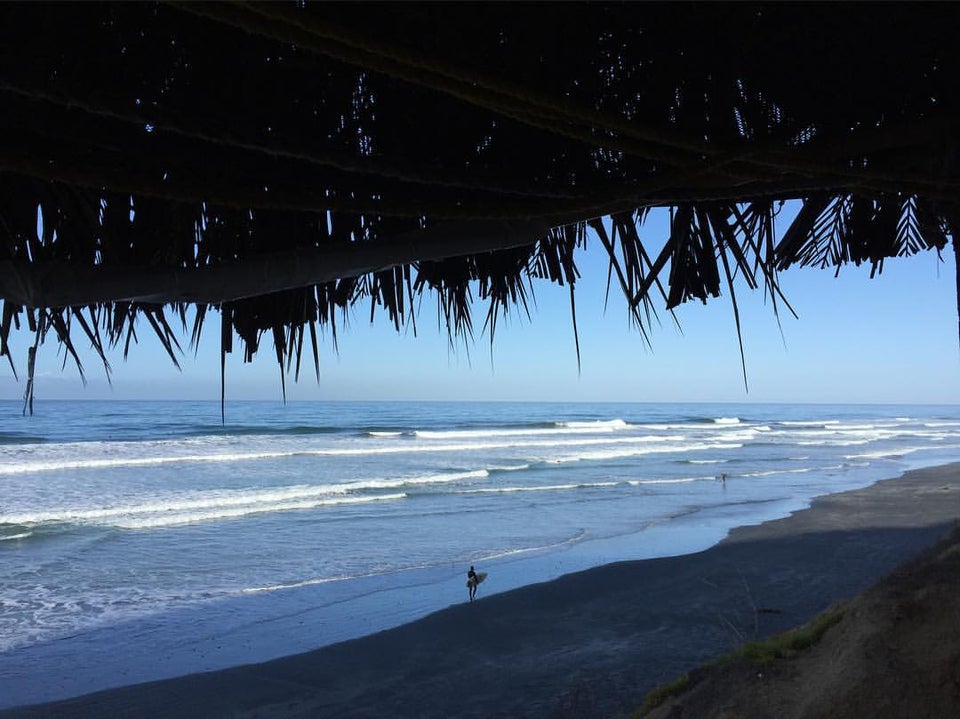 Photo of Black's Beach