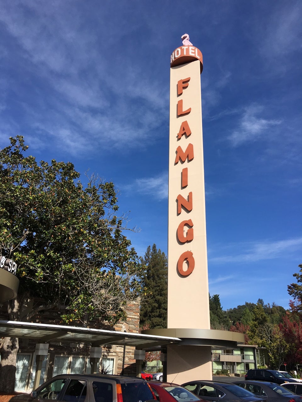 Photo of Flamingo Resort Hotel