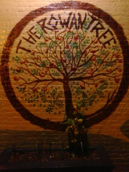 Photo of Rowan Tree