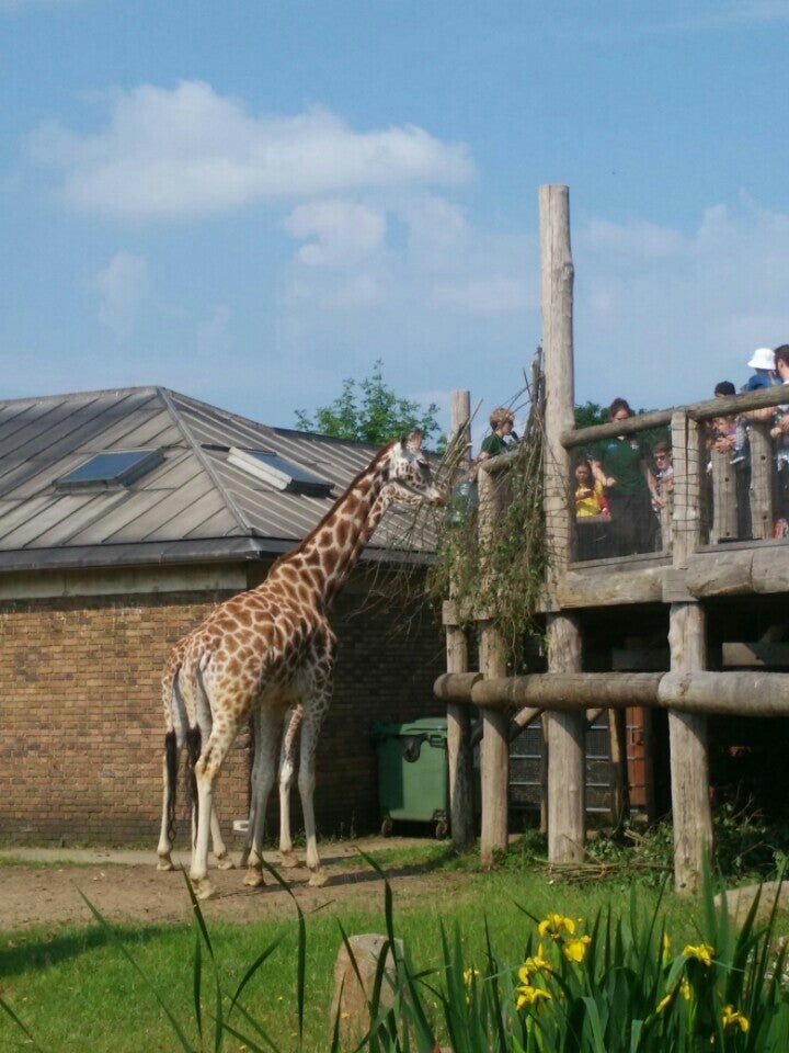 Photo of ZSL London Zoo