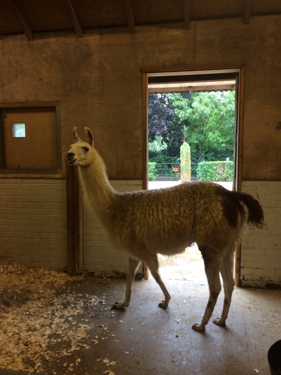 Photo of ZSL London Zoo