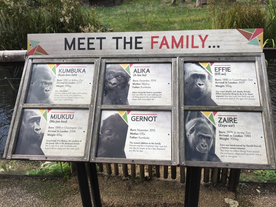 Photo of ZSL London Zoo