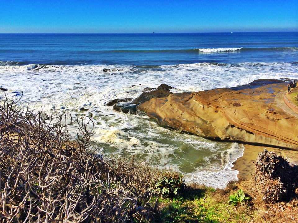 Photo of Ocean Beach