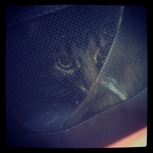 садхана славянский оберег. ветклиника на илимской улице оберег. ул. илимская улица 5. амулеты славянские солнцеворот.