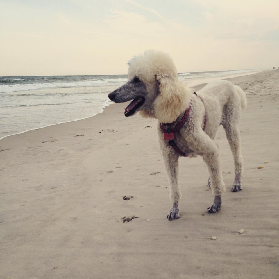 Photo of Cherry Grove Beach