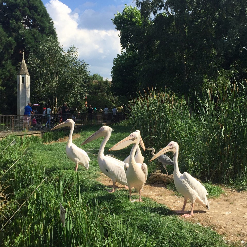 Photo of ZSL London Zoo