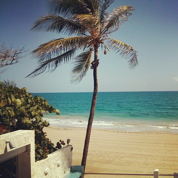 Photo of Atlantic Beach Hotel and Bar