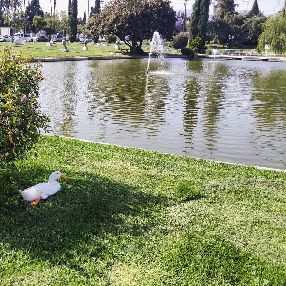 Photo of Hollywood Forever Cemetery