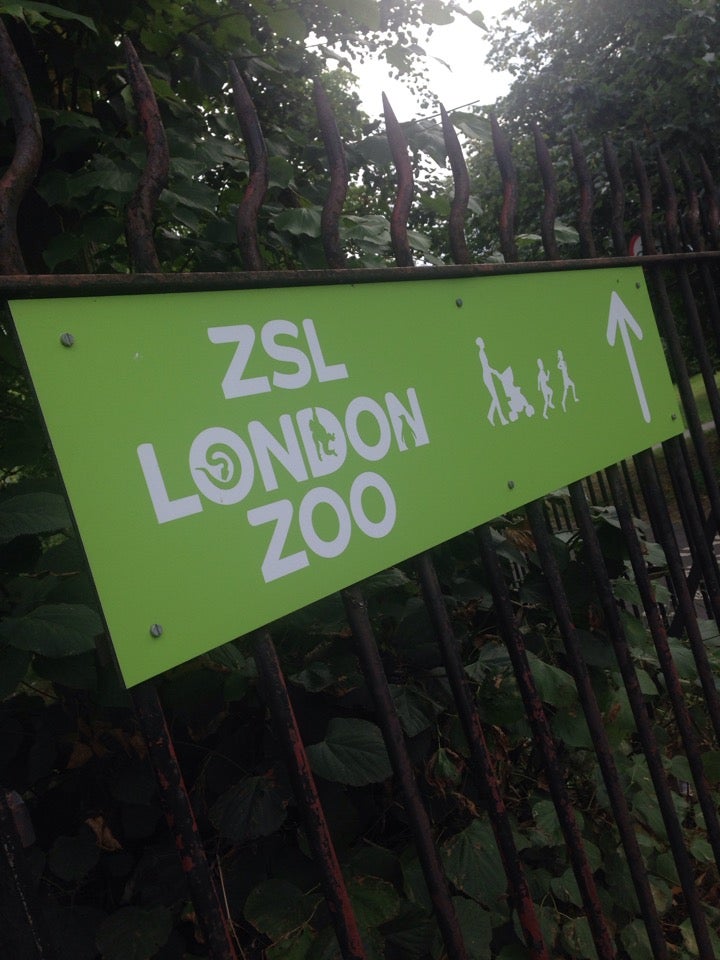 Photo of ZSL London Zoo