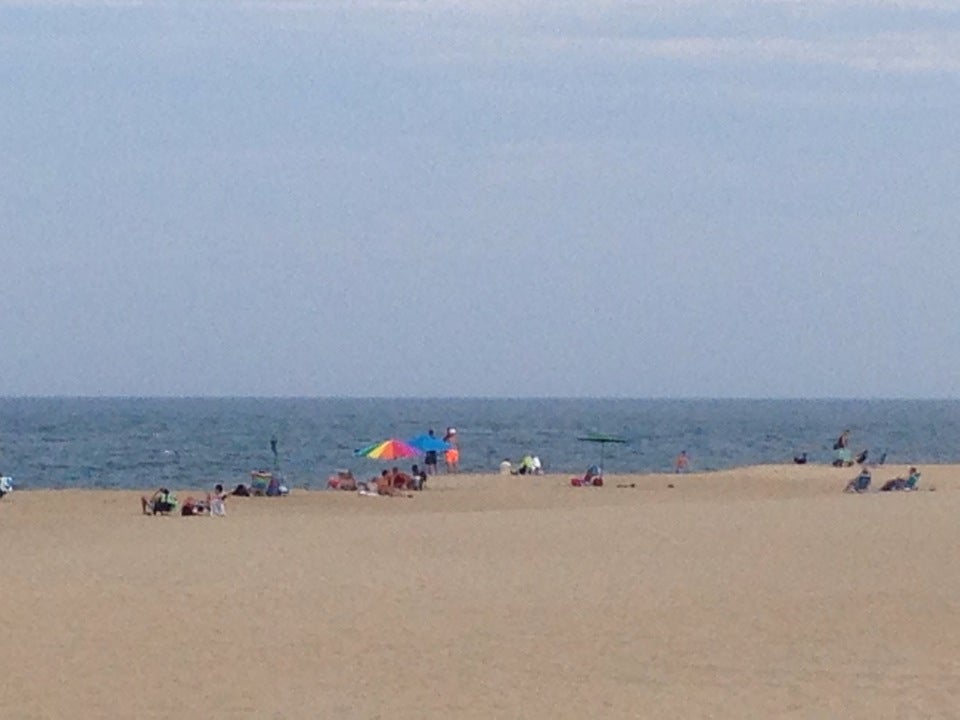 Poodle Beach Photos GayCities Rehoboth Beach