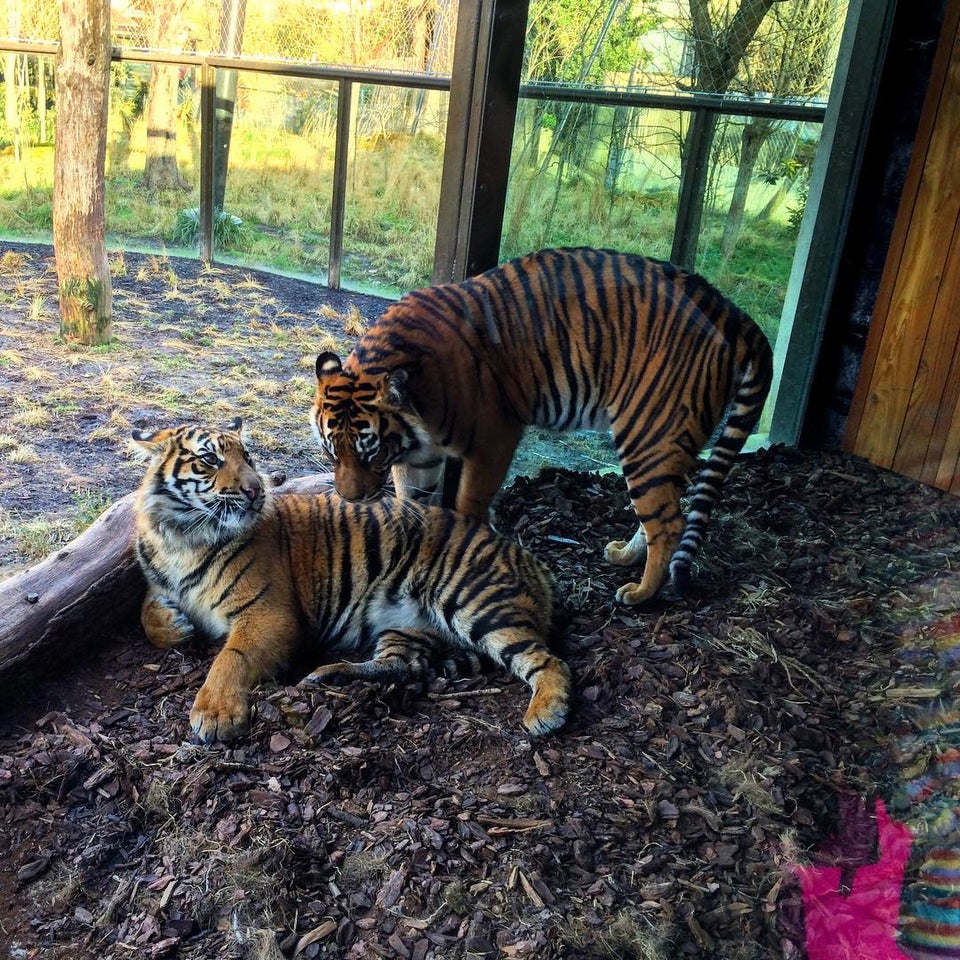 Photo of ZSL London Zoo