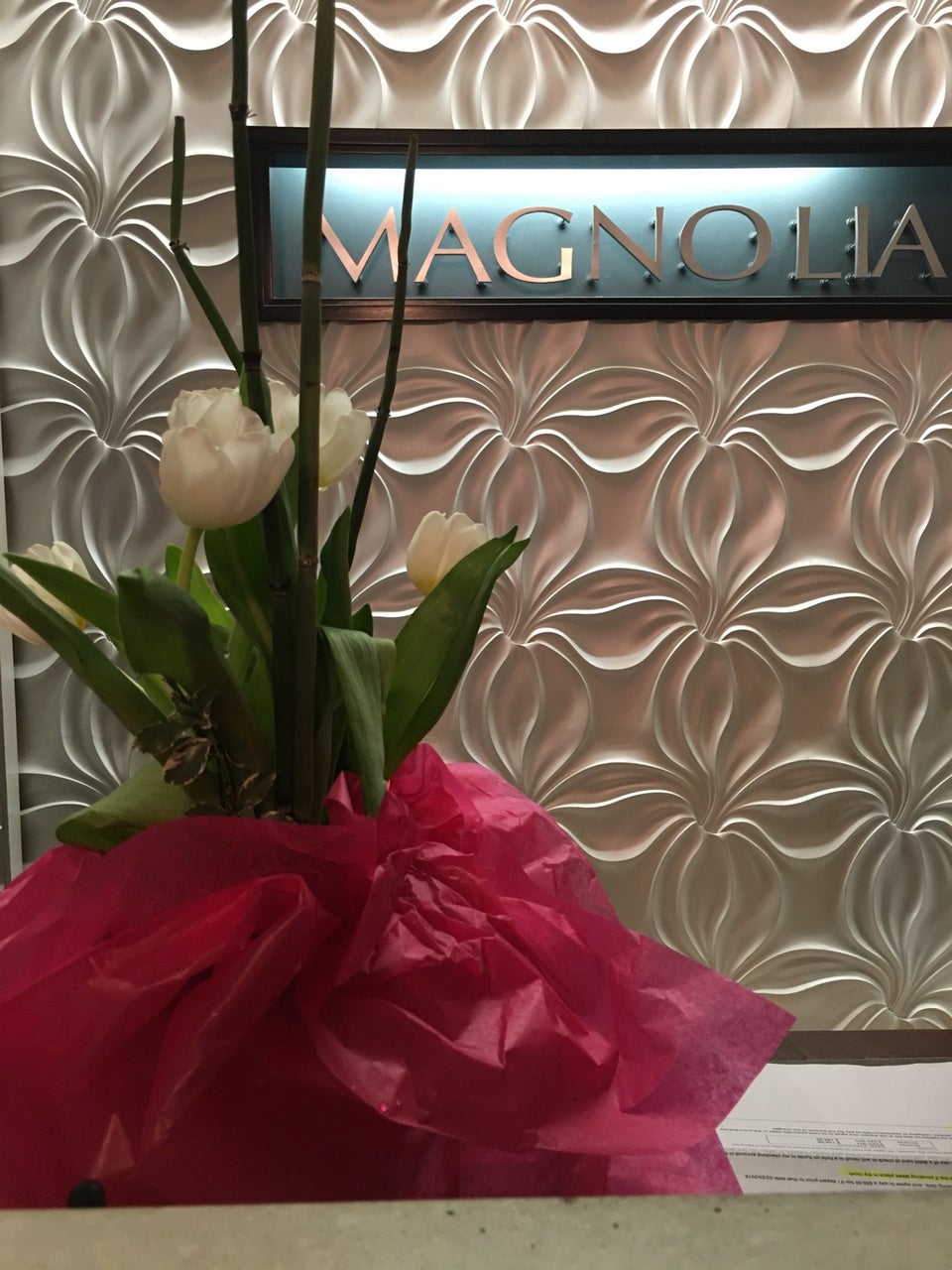 Photo of Magnolia HOTEL