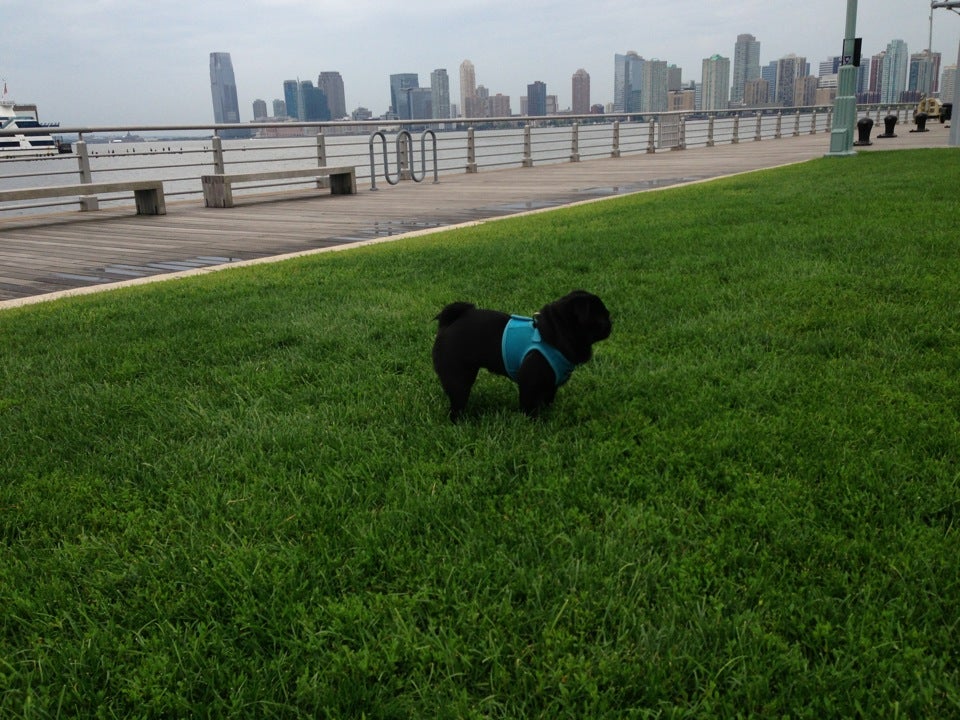 Photo of Christopher Street Pier