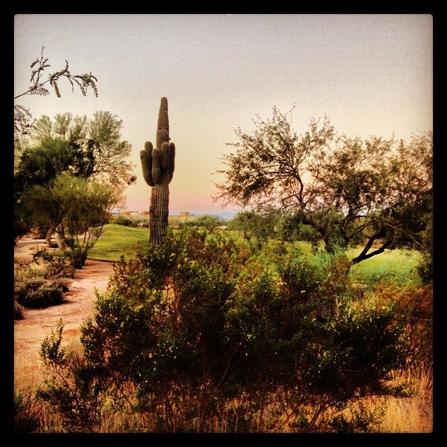 Photo of JW Marriott Desert Ridge Resort & Spa