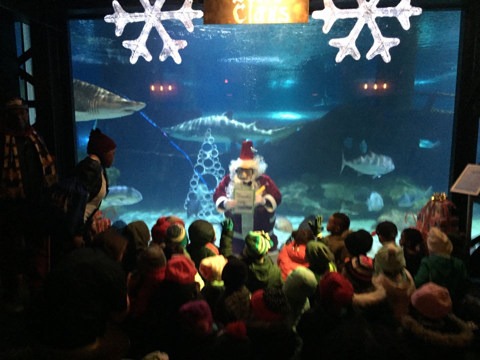Photo of Greater Cleveland Aquarium