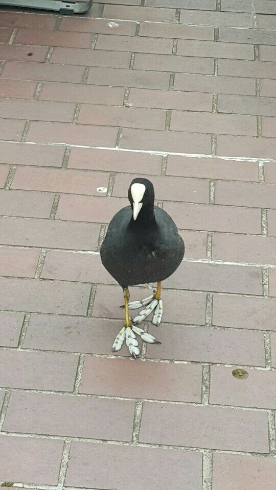 Photo of Barbican Centre