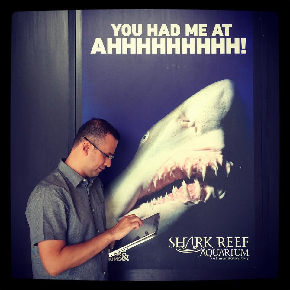 Photo of Shark Reef