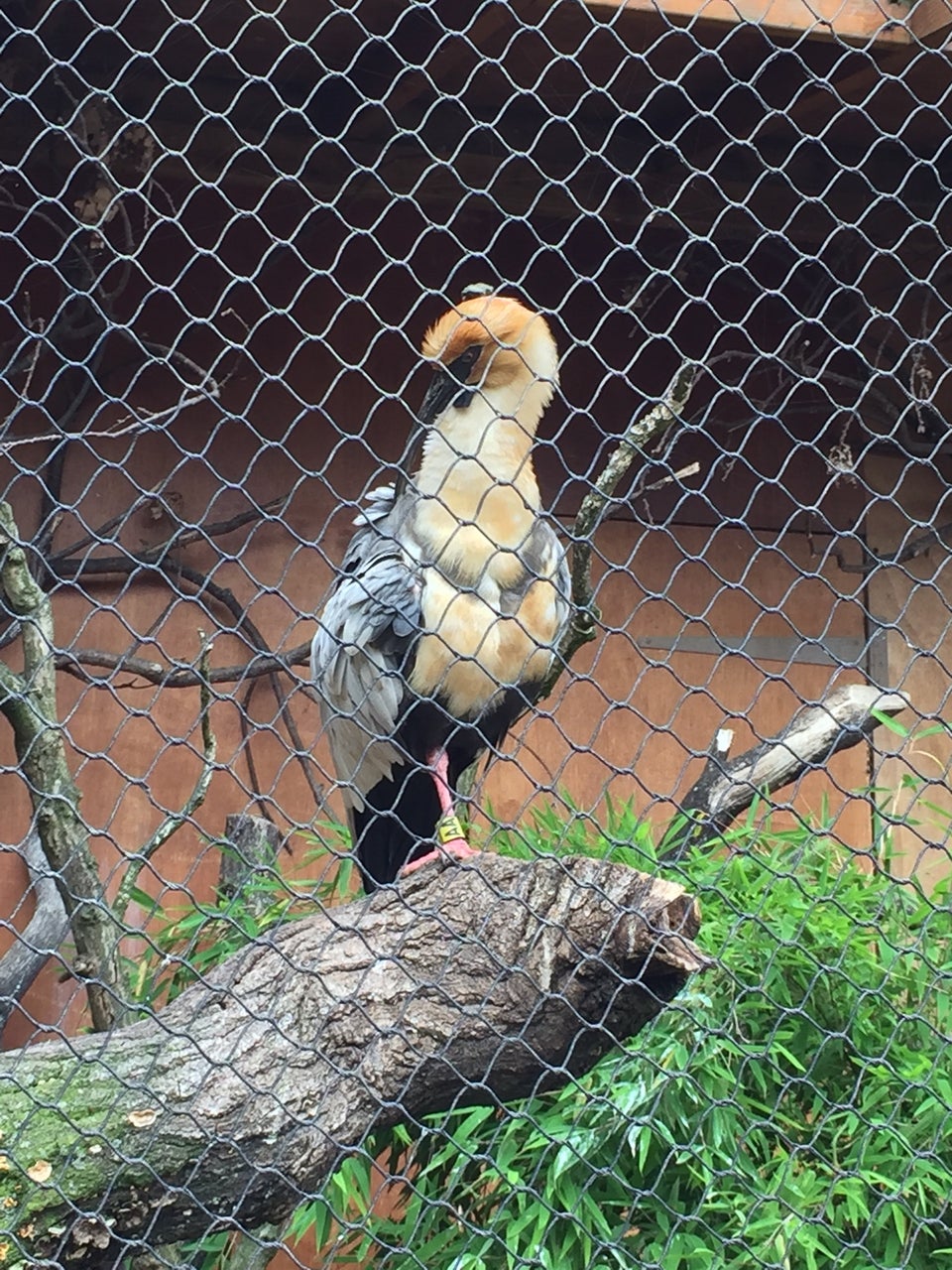 Photo of ZSL London Zoo