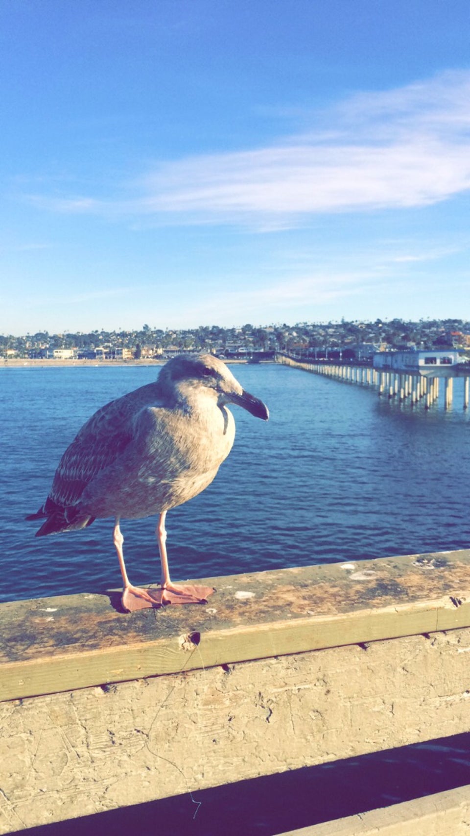 Photo of Ocean Beach