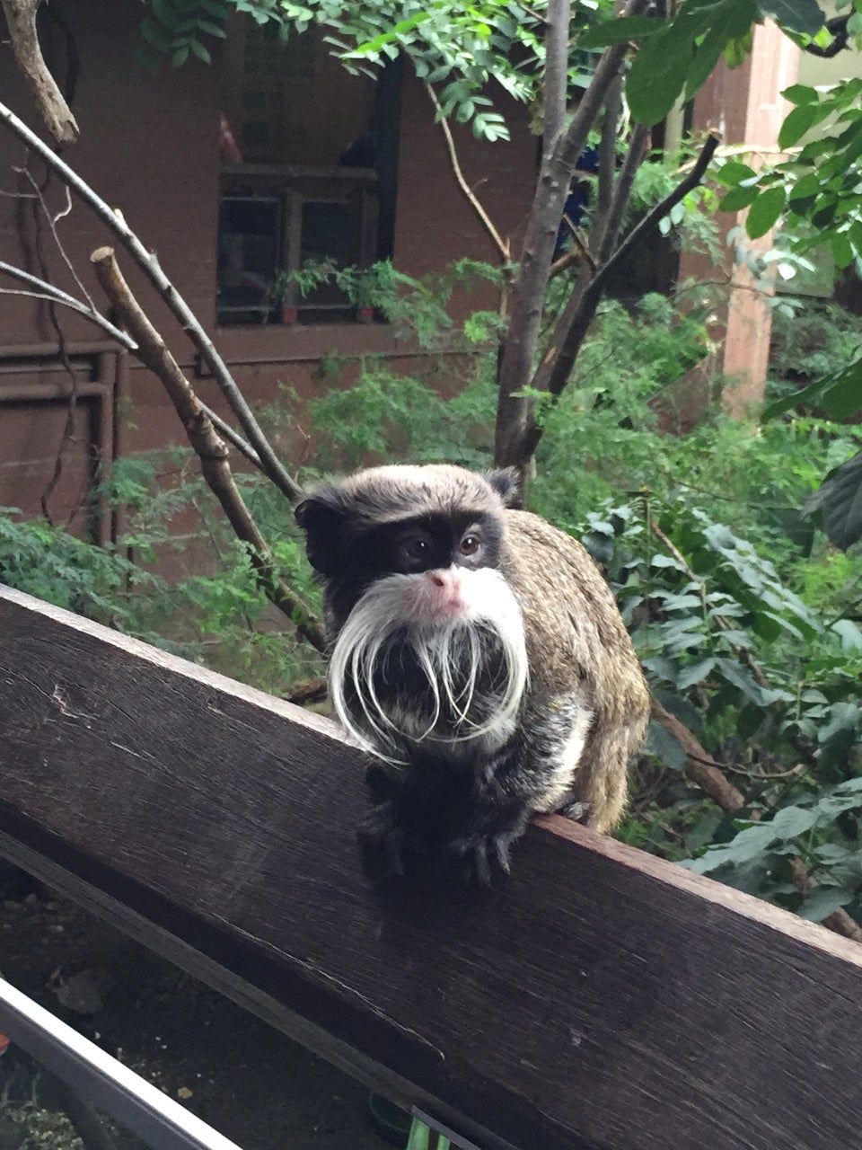 Photo of ZSL London Zoo