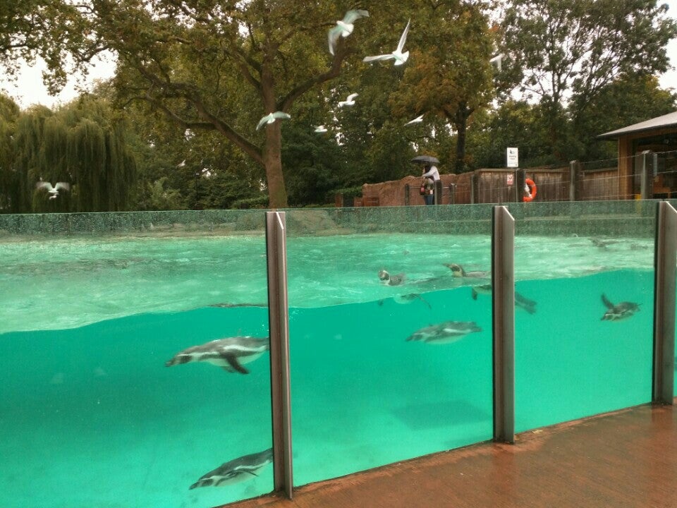 Photo of ZSL London Zoo