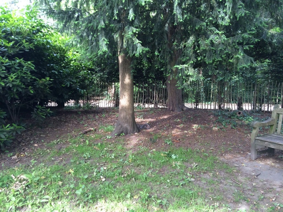 Photo of Chiswick House and Gardens