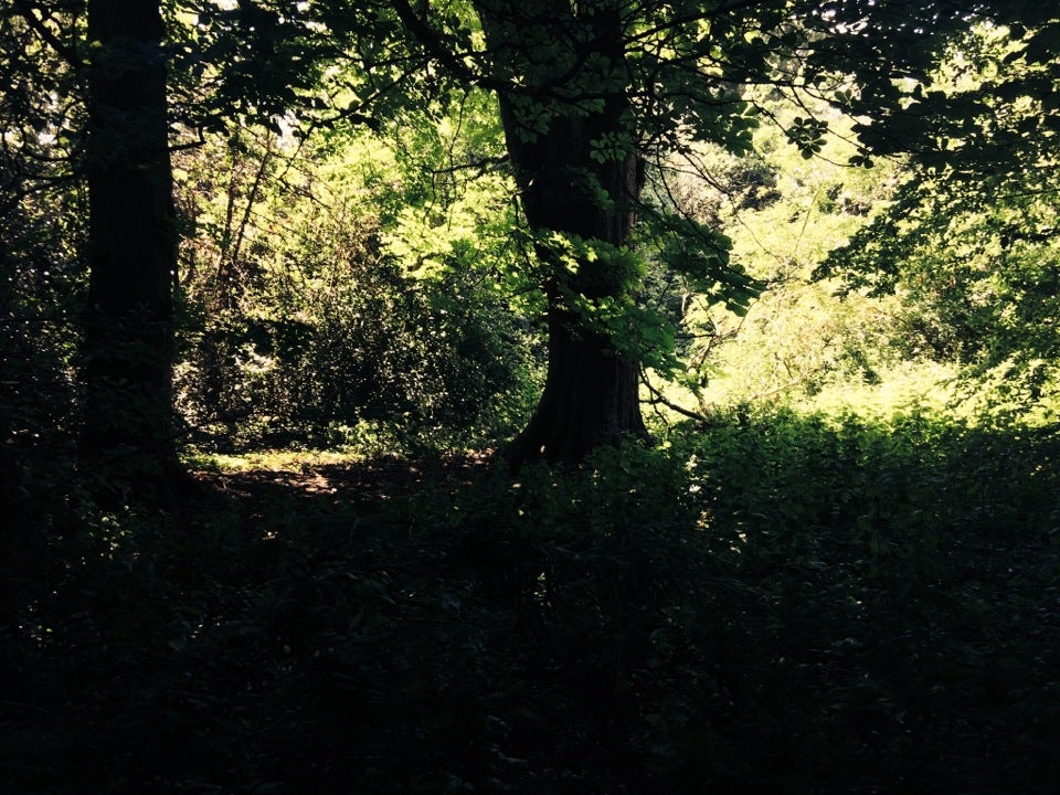 Photo of Chiswick House and Gardens