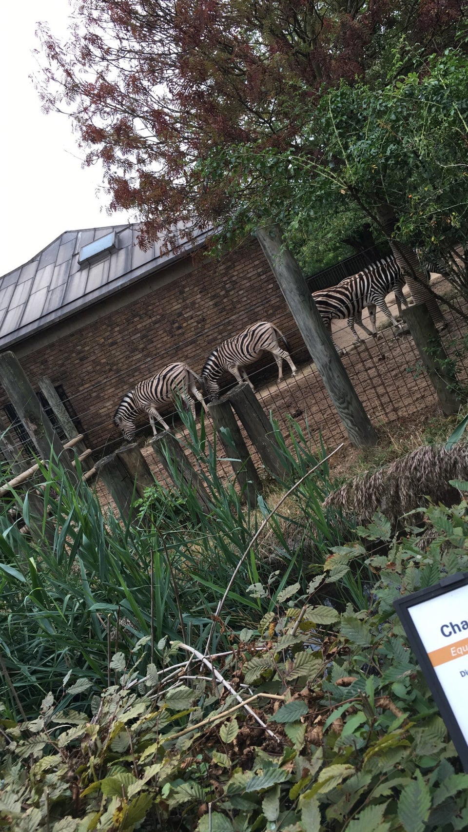 Photo of ZSL London Zoo