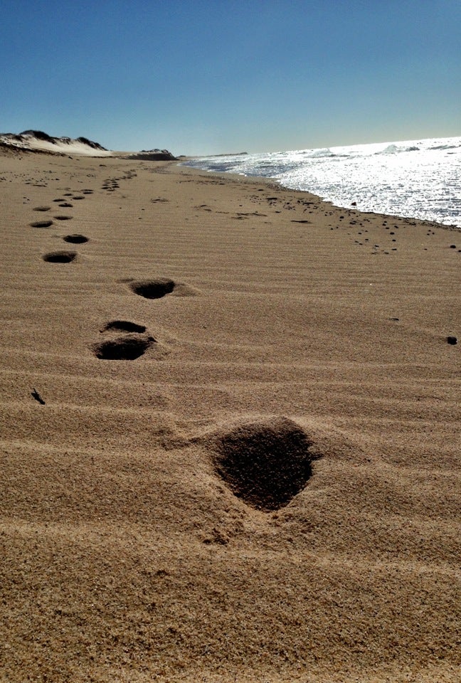 Herring Cove Beach Photos GayCities Provincetown