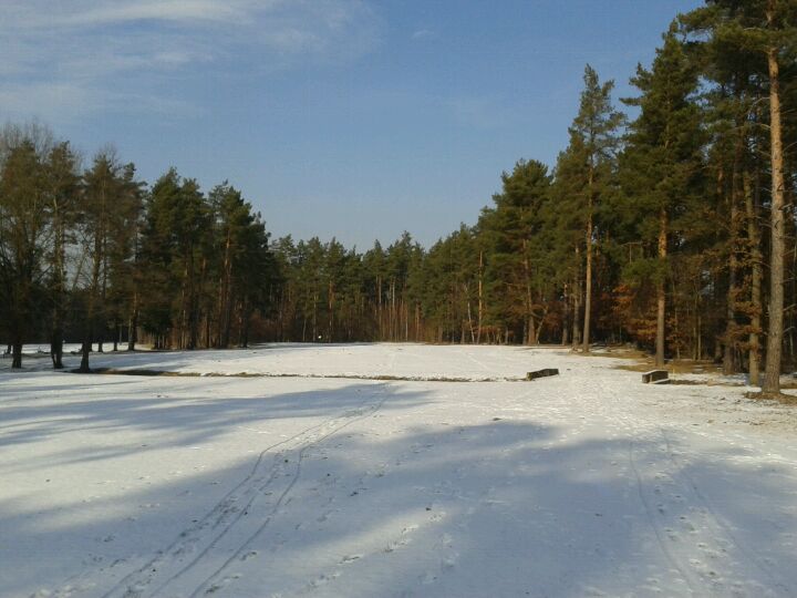 Golfclub Hauptsmoorwald Bamberg E.v.